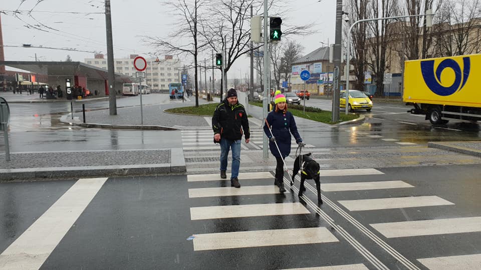 Procvičování pejsků s instruktorem